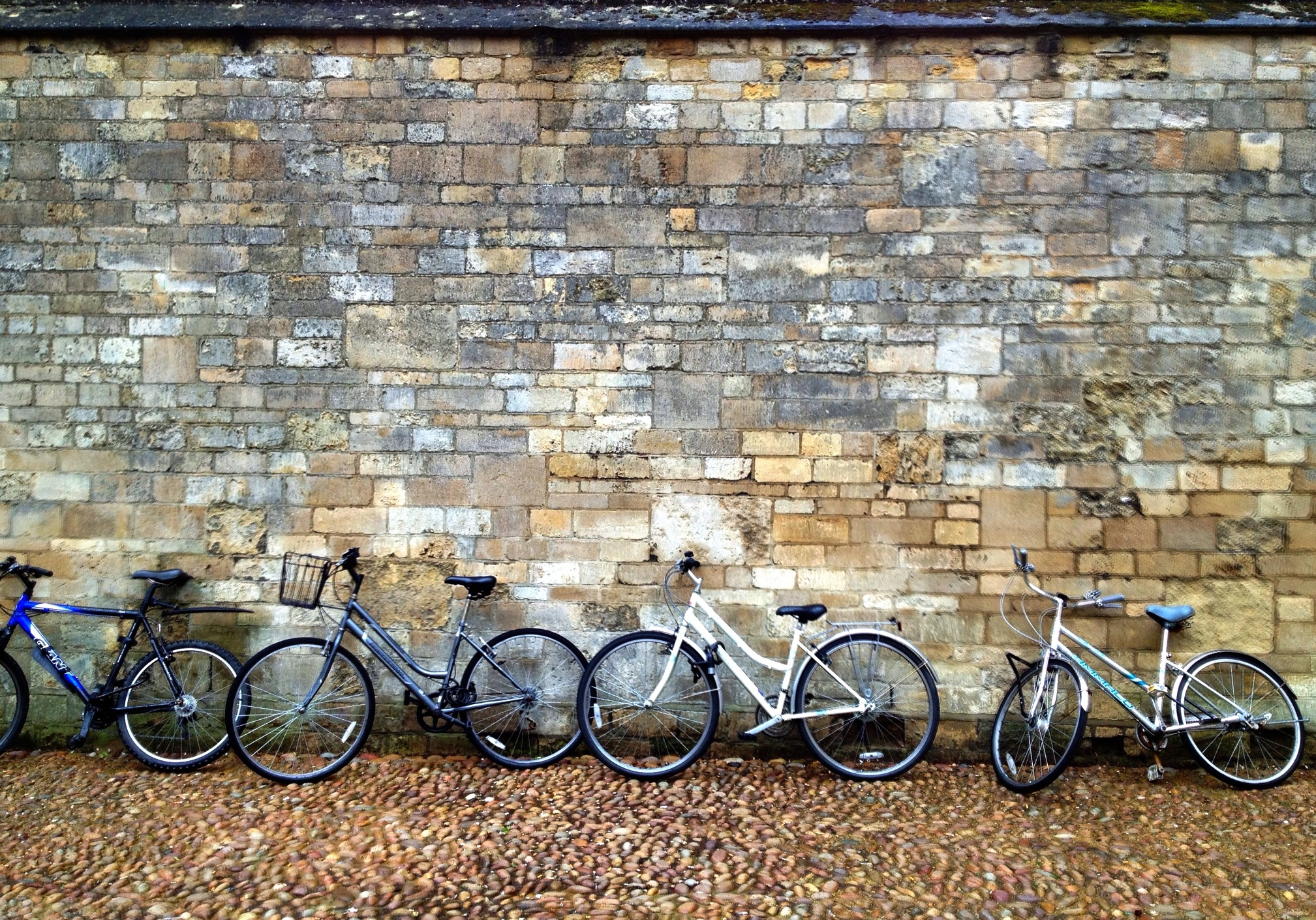 bikes against wall radcliffe square oxford bikes against wall radcliffe square oxford